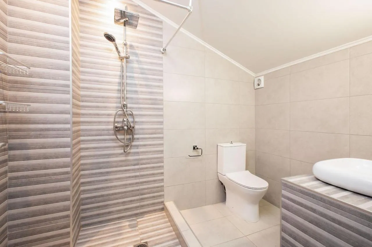 Villa Theasi Olympiada Apartment